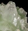 Apple Green Apophyllite Crystal Cluster - India #44435-1